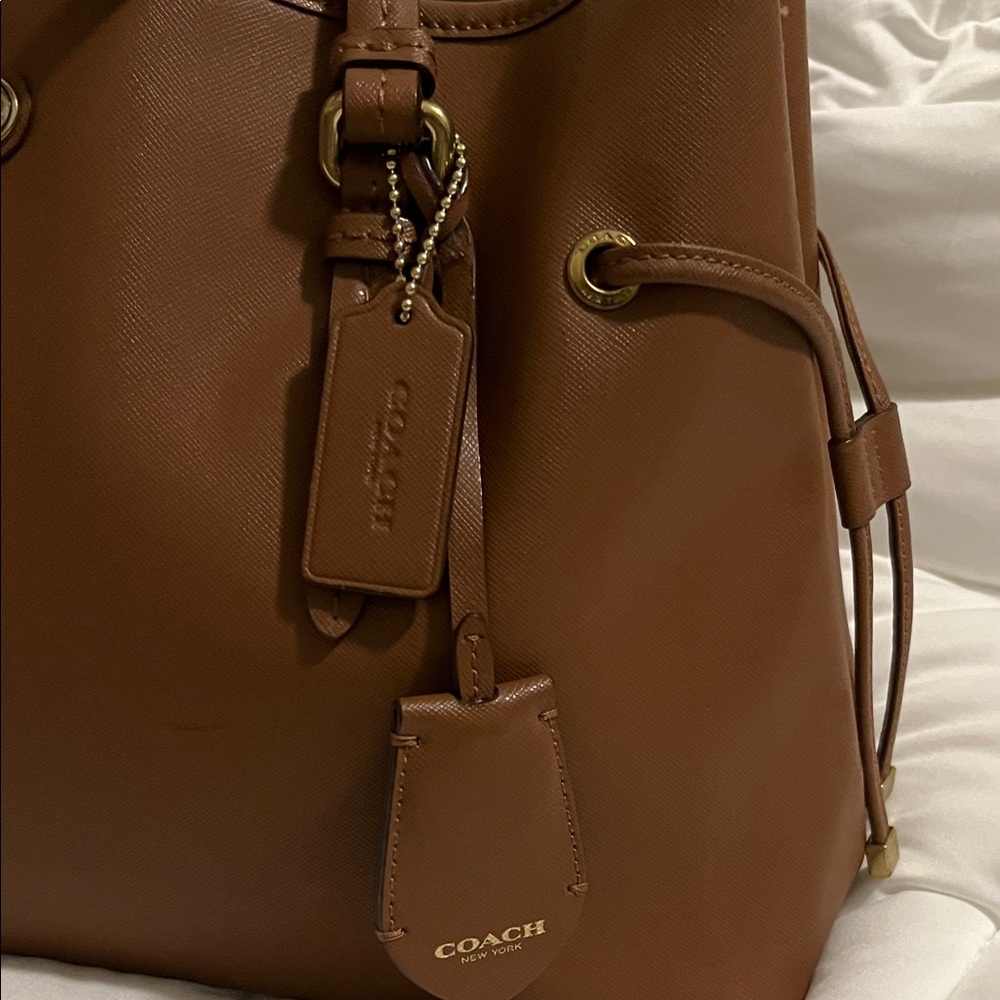 Coach Payton Chestnut Brown Leather Tote with Gold Accents - Picture 4 of 16